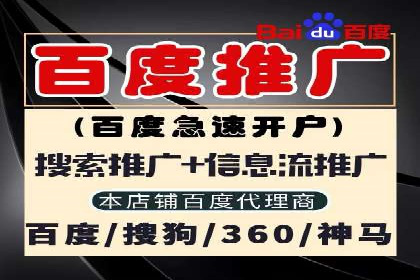 竞价代运营案例解析：中小企业如何快速崛起